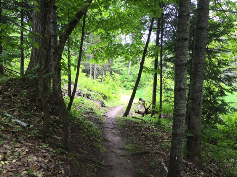 13412951_10206450494123707_8505801383664660126_n