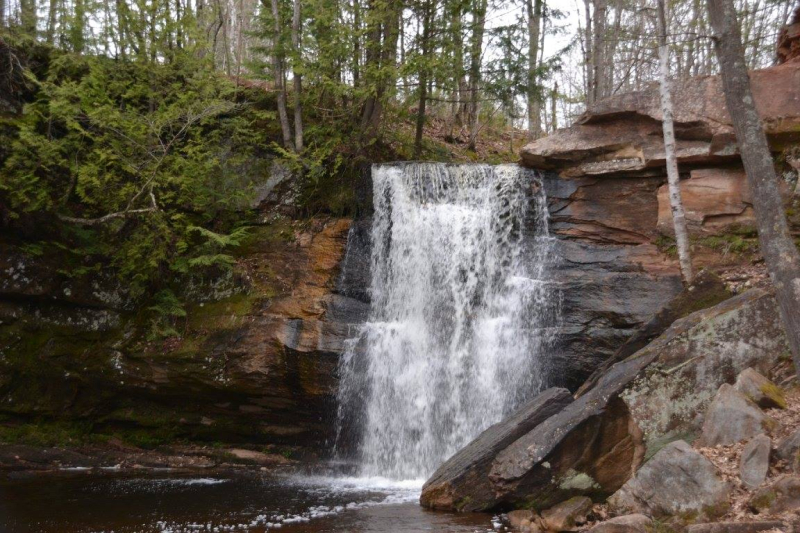 18359323_10209249117973539_4821723924091536328_o