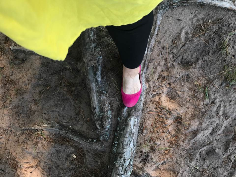 21432978_10210092057880525_1028452179988722075_n