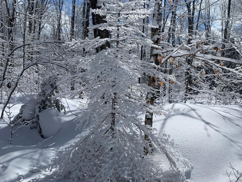 A82C2D7A-FC33-47B4-8255-D82C5B94CFFD